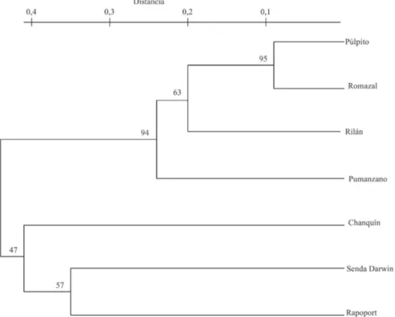 Fig. 3: Dendrograma de similitud florística entre turberas naturales y antropogénicas