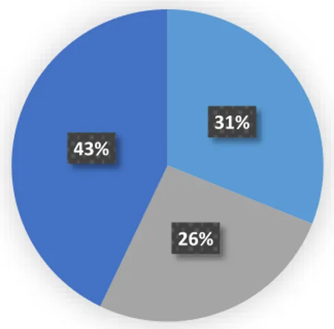 Figura 7. Porcentaje de cada segmentación de mercado para el Club deportivo  Ímpetu.  Elaboración propia