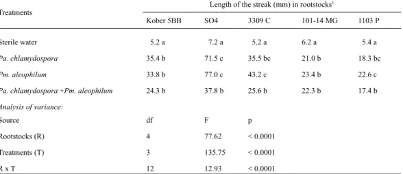 Table 5. Effects of Phaeomoniella chlamydospora and Phaeoacremonium aleophilum  on  length  of  the  streak  formed  inside of each cutting in fi ve different grapevine rootstocks.