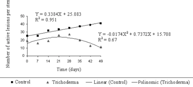 Figure 3 shows how the control treatment and  the treatment with T.  virens strain Sherwood  presented similar behaviors in the fi rst month  (0 a 28 days)