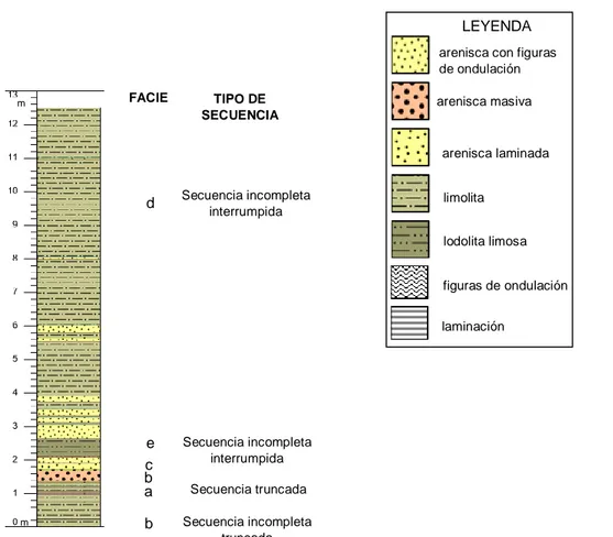 Figura 17. Columna litológica del afloramiento Socorro 2. Estructuras sedimentarias; Td (limolita laminada), Tb  (arenisca laminada), y Tc (arenisca con figuras de ondulación) de la Secuencia de Bouma