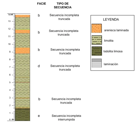 Figura  22.  Columna  litológica  del  Afloramiento  Socorro  3.  Estructuras  sedimentarias;  Te  (lodolita  limosa),  Tb  (arenisca  laminada) y Td (limolita laminada) de la Secuencia de Bouma