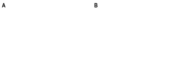 Figura  I5.  Penetración  del  hueso  subcondral.  Eliminación  del  cartílago  calcificado  (A)  para  permitir  la  adhesión  del  coágulo  del  sangrado  procedente  de  la  médula;  apertura  de  los  canales al hueso subcondral (B)