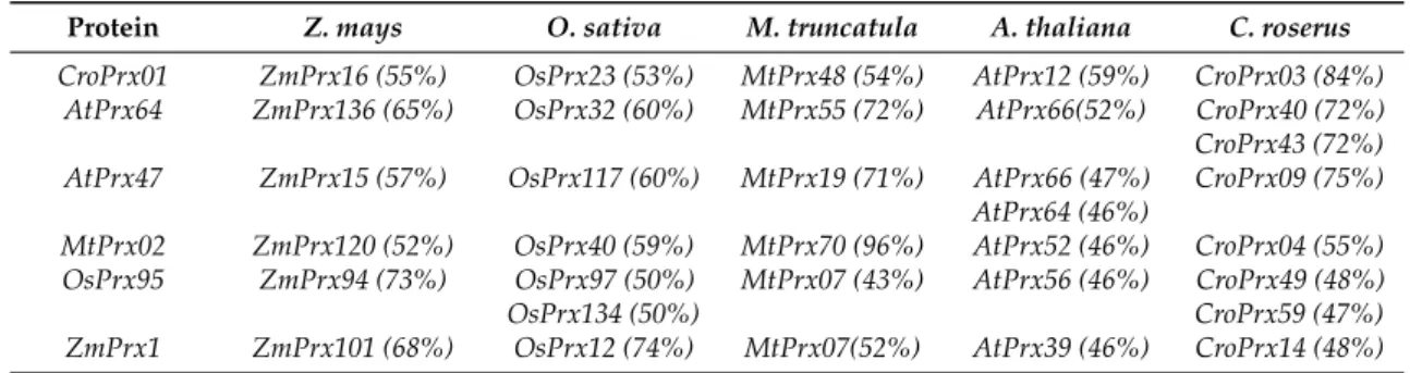 Table 3. Homologous and most similar sequences of membrane-bound class III peroxidases in other species