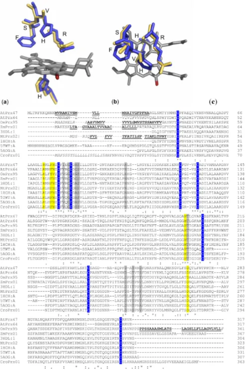 Figure 1. Active sites of horseradish peroxidase (HRP) and OsPrx95 and multiple sequence alignment of class III peroxidases