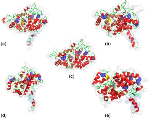 Figure 2. Putative tertiary structures of PM-bound class III peroxidases. Structures were predicted by SWISS-MODEL for (a) ZmPrx01 (3hdlA, 1 TMH, root PM), (b) OsPrx95 (3hdl1A, 3 TMH, root PM), (c) AtPrx64 (3hdl1A, 0 TMH, PM), (d) AtPrx47 (5twt, 1 TMH, PM)