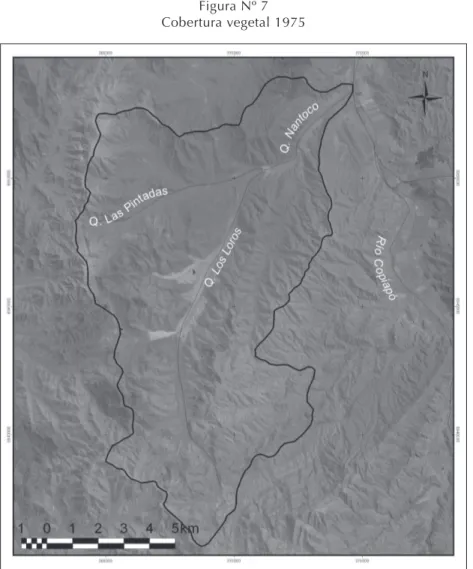 Figura Nº 7 Cobertura vegetal 1975