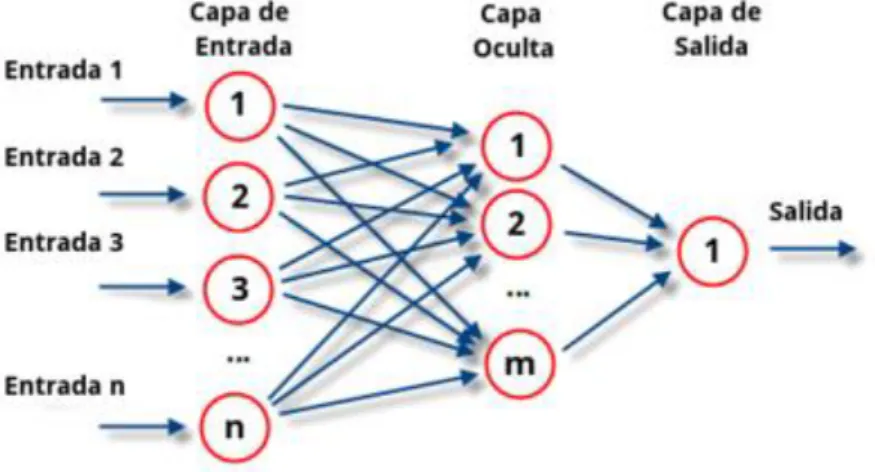 Figura 9. Estructura de red 