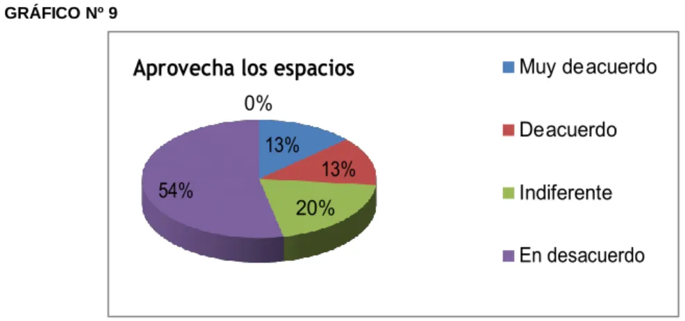 GRÁFICO Nº 9 