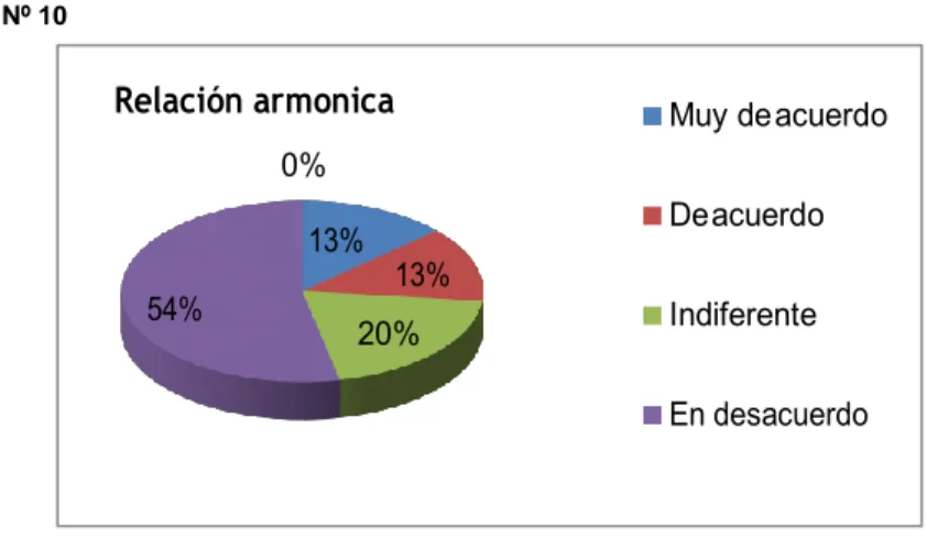 GRÁFICO Nº 10 