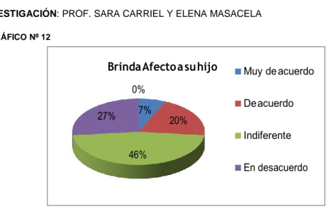 GRÁFICO Nº 12 