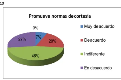 GRÁFICO Nº 13 