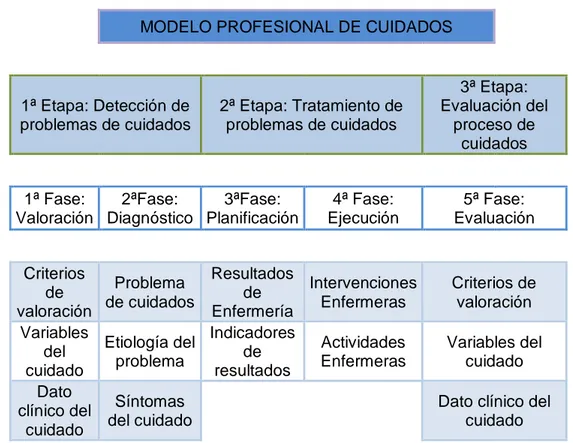 Tabla  4.  Estructura  completa  de  la  Metodología  Enfermera.  Fuente:  Departamento  de  Metodología del Cuidado