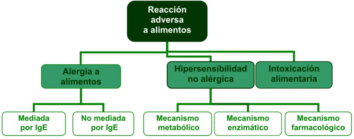 Figura 8. Clasificación de las reacciones adversas a alimentos. 