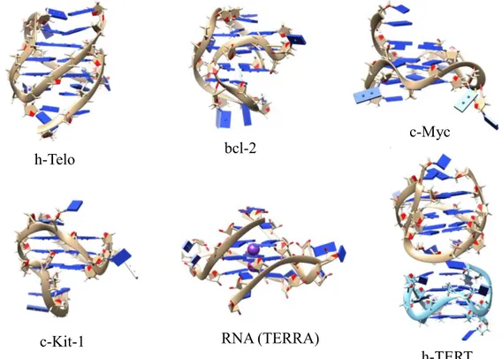 Figura 28: Estructura plegada de oligonucleótidos de ADN o ARN cuádruple. 