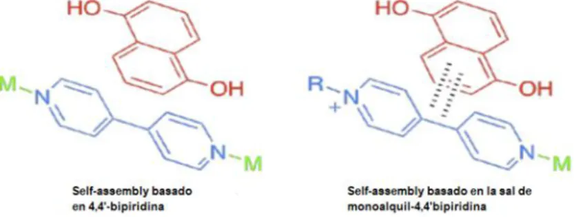 Figura 5. Comparación de reconocimiento molecular entre 4,4’-bipiridina y uno de sus derivados N-monoalquil