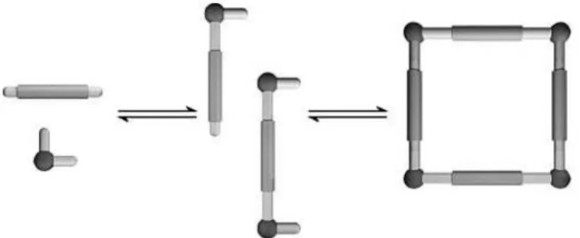 Figura 1. Representación esquemática de un proceso de autoensamblaje supramolecular. 7