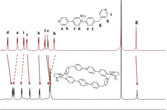 Figura 10. Espectros parciales solapados de  1 H-RMN de (a) ligando L 2 ·NO 3  libre y (b) metalociclo  M 2a ·6NO 3 