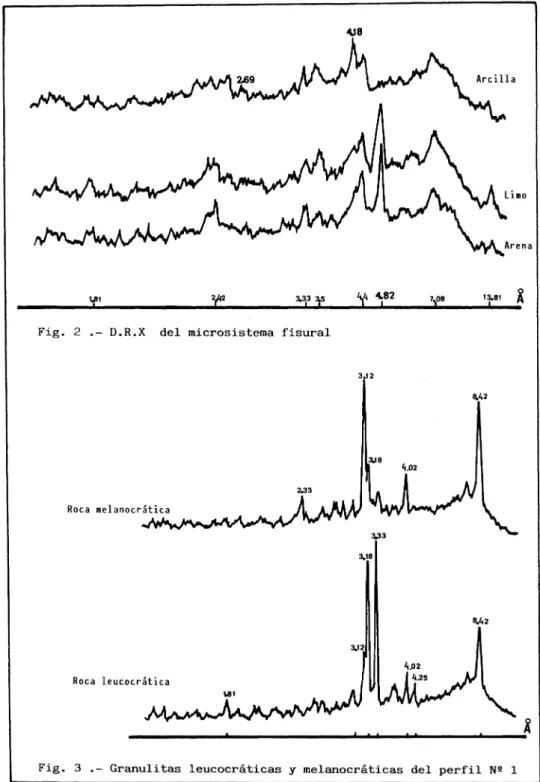 Fig. 2 D.R.X del microsistema fisural