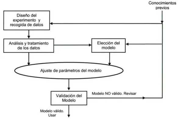 Fig. 10 - EI proceso de Identificación. 