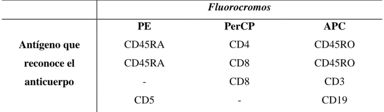 Tabla  2.  Combinaciones  de  anticuerpos  monoclonales  para  la  detección  de  apoptosis  mediante anexina V  Fluorocromos  PE  PerCP  APC  Antígeno que  reconoce el  anticuerpo  CD45RA  CD4  CD45RO CD45RA CD8 CD45RO - CD8 CD3  CD5  -  CD19 