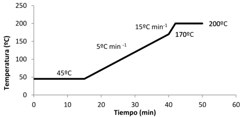Figura 13. Rampa de temperaturas del horno cromatográfico