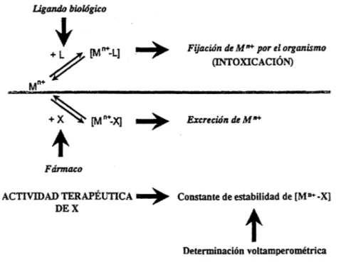 Figura 13. Tratamiento de intoxicaciones con especies metálicas 