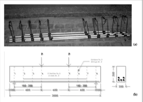 Figura 1. a) Armado del refuerzo b) Esquema del armado del refuerzo, acotaciones en mm.