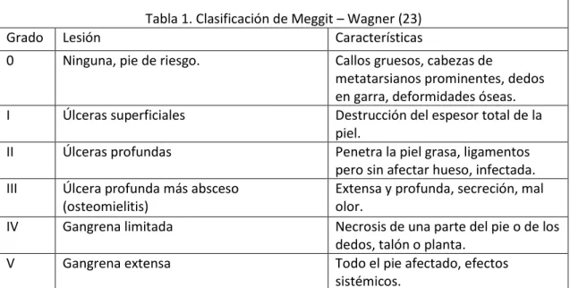 Tabla 1. Clasificación de Meggit – Wagner (23) 