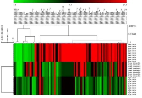 Figura 2. HeatMap. Se realizó una técnica de clasificación jerárquica de datos para realizar un estudio de cuántos patrones  de expresión de microARN se obtenían