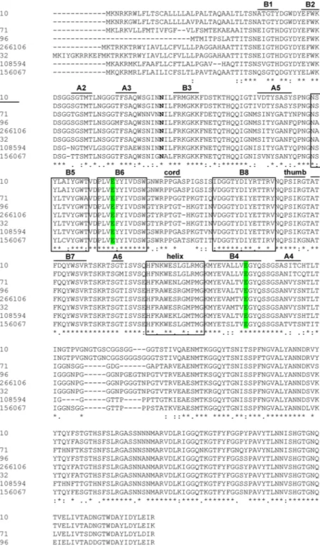 Figure 4.  Alignment of the predicted amino acid sequence of XynA3 and its closest relatives from the GenBank  databases