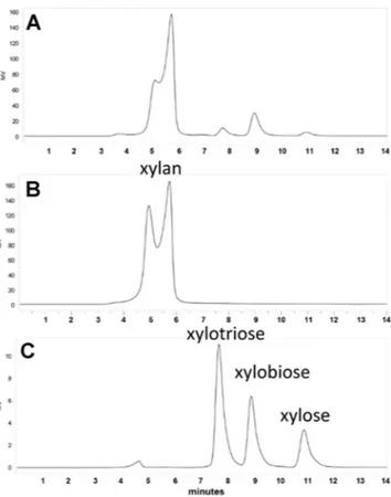 Figure 6.  HPLC analysis of xylooligosaccharides produced by XynA3 enzyme from Beechwood xylan