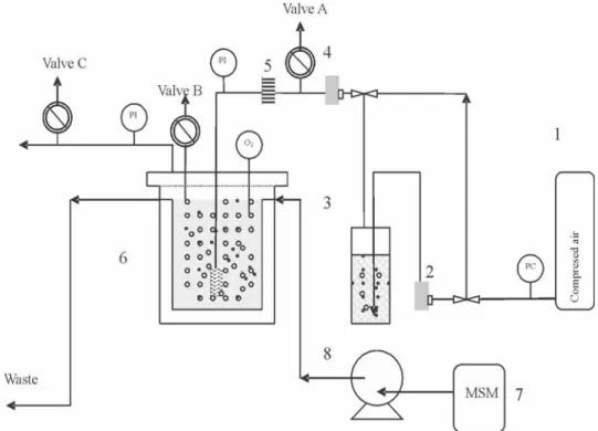 Figure 1. Scheme of the laboratory scale multiphase reactor.