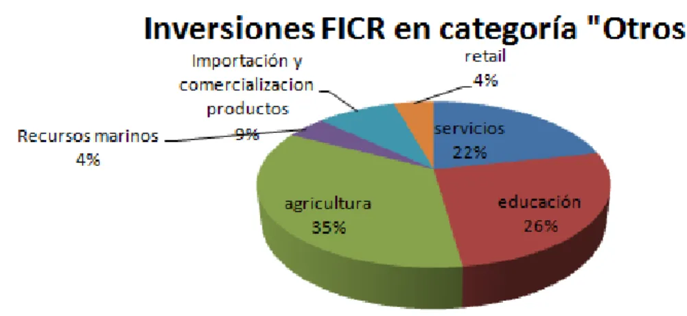 Ilustración 5: Inversiones en categoría “Otros”. 