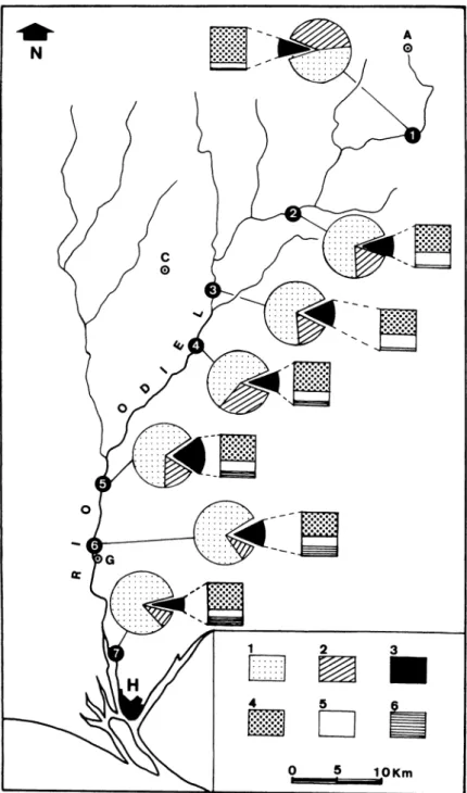 Fig. 3. Composición mineralógica de la muestra global y de la fracción &lt; 2¡J. de los sedimentos actuales del río Odie!.