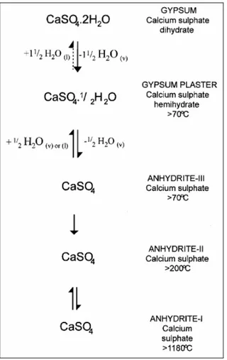 Ilustración 2-1: Estados del sulfato cálcico durante la deshidratación (Cave et al., 2000)