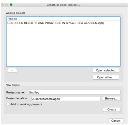 Figure 4. Project Created with TAMS analyzer 