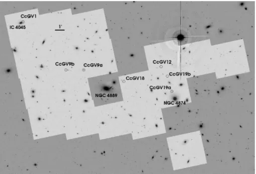 Figure 3. Portion from a CFHT MegaCam g-band image of the central part of the Coma Cluster