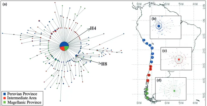Figure 2 Haplotype network of the 179 Concholepas concholepas mtDNA haplotypes (a). Each haplotype is represented by a circle with its size proportional to the number of individuals bearing the haplotype over the whole data set