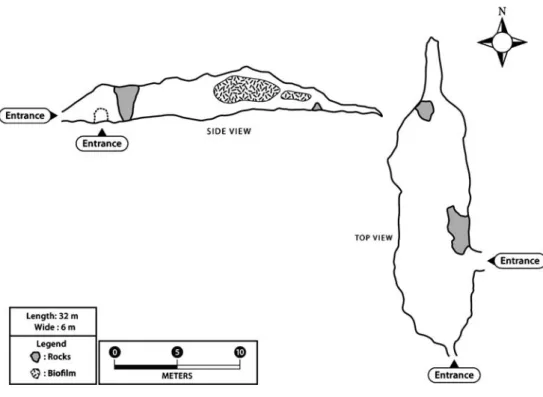 Figure 1 Map and profile view of the Atacama Desert cave