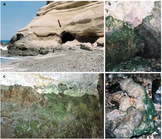 Table 1 Variations in time of air temperature and RH and infrared temperature of walls of the cave interior (March 2008)