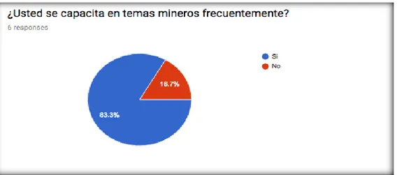 Figura 15: Capacitaciones en temas mineros