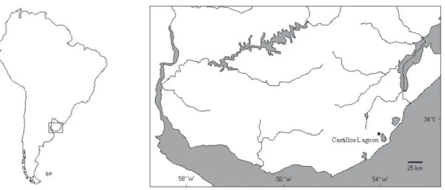 Fig. 1. Map of the study site area. The sampled temporary pools are located in the Castillos Lagoon Basin, about 60 km from Brazilian border.