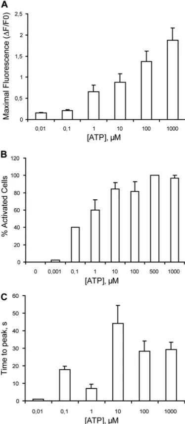 FIGURE 2. Quantitation and kinetics of calcium transients evoked by ATP in skeletal myotubes