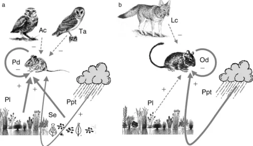 Fig. 1). Overall, our results suggest that predation on these rodent species plays only a minor role, in contrast to the strong regulation exerted by energy and food requirements.