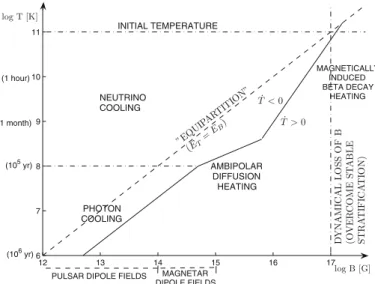 Fig. 1. Magnetic field – temperature plane for a non-superfluid neutron star core. The dot-dashed horizontal lines show the initial temperature (just after core collapse), and the transition from neutrino-dominated (modified Urca) to photon-dominated cooli