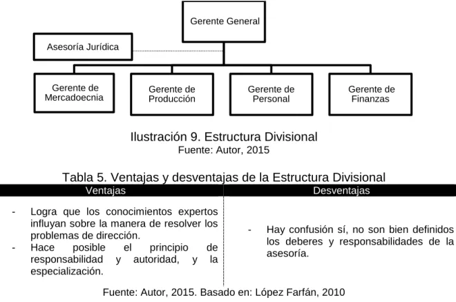 Ilustración 9. Estructura Divisional 