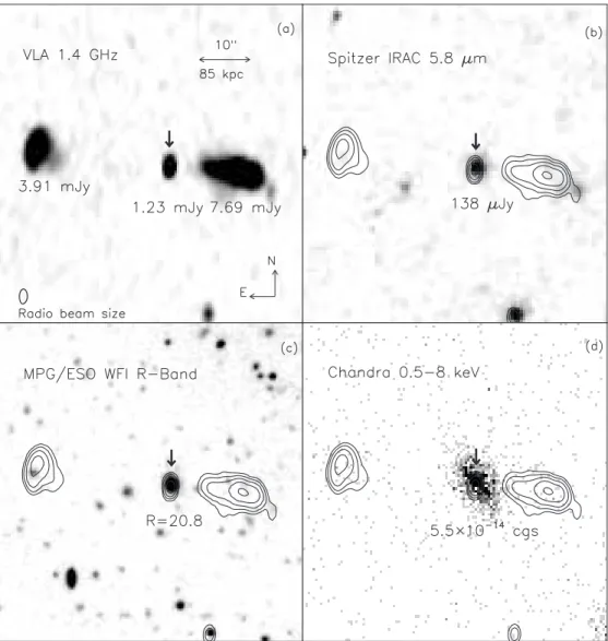 Figure 2. (a) Radio 1.4 GHz, (b) IR 5.8 μm, (c) optical R-band, and (d) X-ray 0.5–8 keV images of J0331–2755