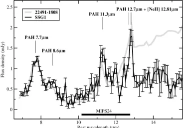 Figure 1. Mid-IR spectrum of SSG 1 as observed by Spitzer IRS, indicated by black line