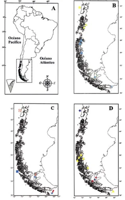 Fig. 1. (A) Área de ﬁordos y canales Fuego-patagónicos en el territorio chileno. (B) Distribución geográﬁca de las especies  de poliquetos endémicos del área de Magallanes